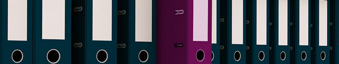 Guide to Working in Meridian Policy